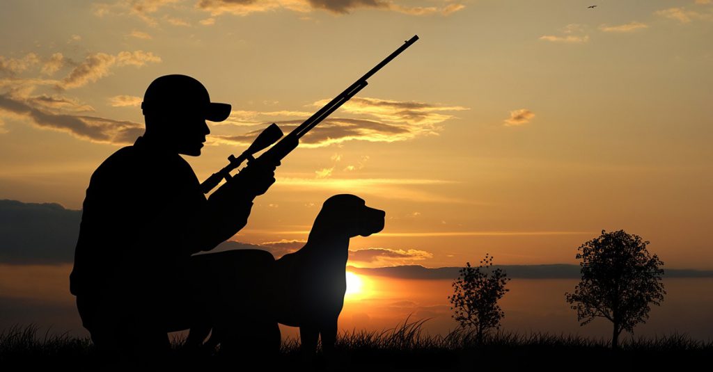 Reclamación de seguro de responsabilidad civil de cazadores 